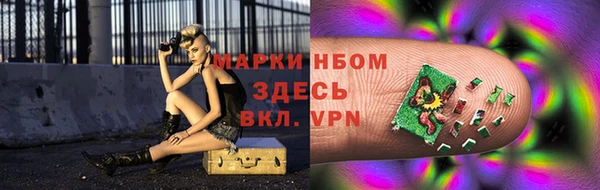 гашик Михайловск