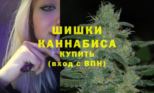 гашик Михайловск