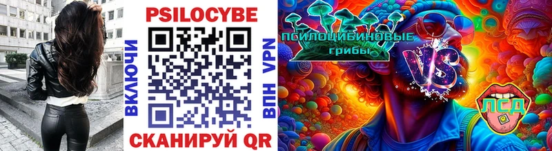 Псилоцибиновые грибы Psilocybe  Миньяр 